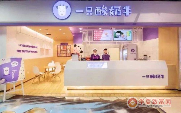 一只酸奶牛加盟